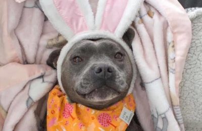 Easter Facebook Event