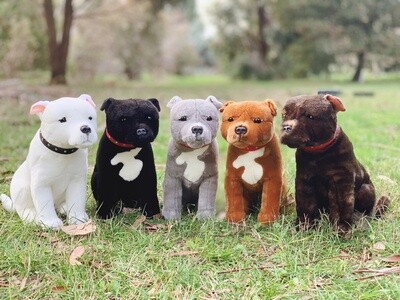 Staffy soft toy online