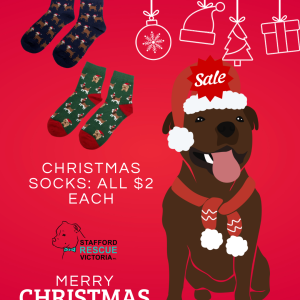 Christmas Socks: ALL $2 each.