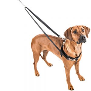 The Freedom no-pull Harness